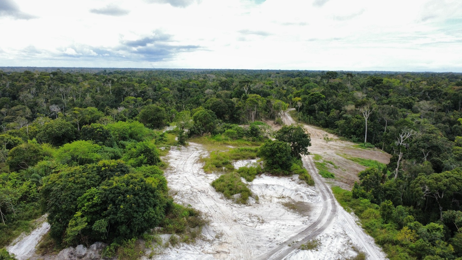 Vista aérea da estrada e vegetação