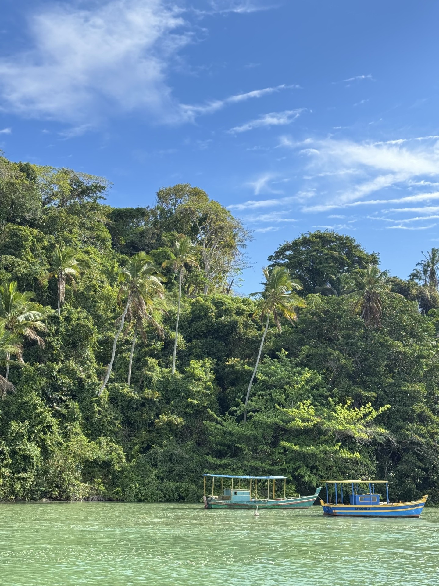 Vegetação e embarcação à beira da água