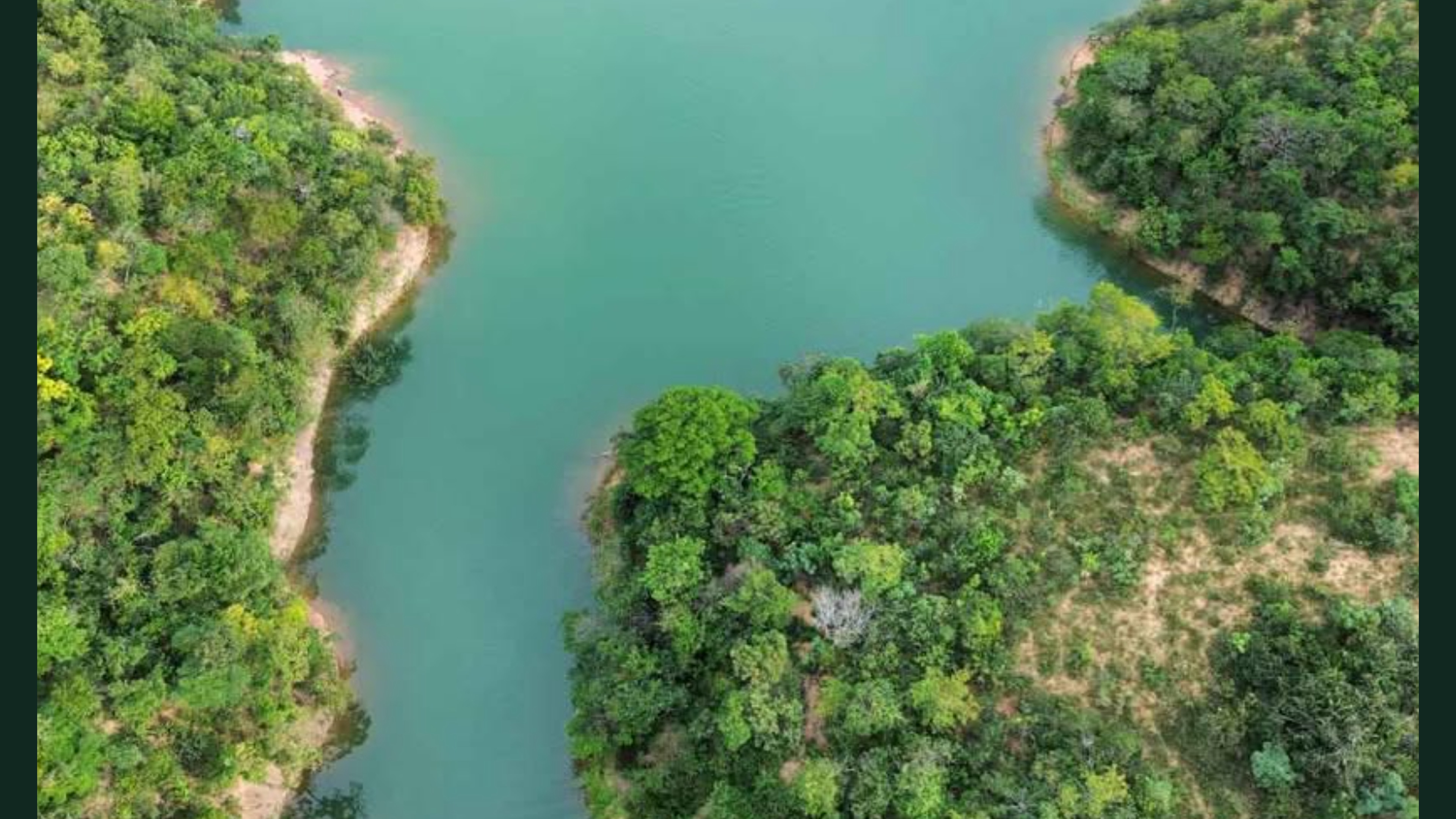 Vista aérea da vegetação e represa