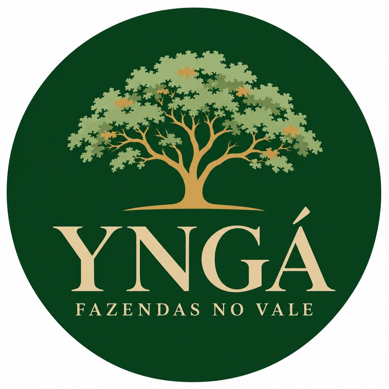 Identidade visual do projeto Yngá
